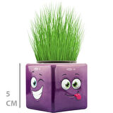 Çim Adam Mini Küp Emoji Figürlü 1 Adet