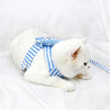 Evcil Hayvan Çantalı Göğüs Gezdirme Tasması Seti