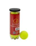Dayanıklı Tenis Topu 6’lı Set Yüksek Zıplama ve Uzun Ömür Najmaddin
