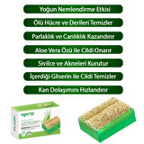 Kabak Lifli Aloe Vera Sabunu 125 Gr