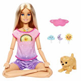 Nessiworld 1 Meditasyon Yapıyor Oyun Seti HHX64