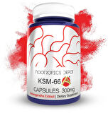 Nootropics Depot KSM66 Ashwagandha Capsules | 300mg | 90 Count -Bilişsel Destek