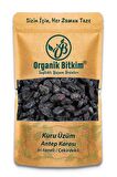 Antep Karası Üzüm Kurusu İri Boy Çekirdekli 500 gr