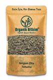 Isırgan Otu Tohumu 100 gr