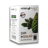2 Adet Herbal Palace Çam Kozalağı Karışımı ve 2 Adet Çam Koz. Özü