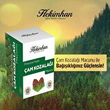 Hekimhan Çam Kozalağı Karışımı 240 gr x 2 Adet