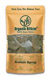 Avokado Yaprağı 150 gr