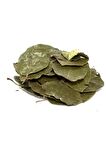 Avokado Yaprağı 150 gr