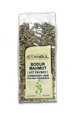 Bodur Mahmut (Acı Yavşan) 50 gr