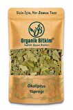 Okaliptus Yaprağı 150 gr