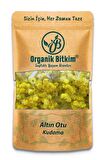 Altın Otu - Ölmez Çiçek / Kudama 500 gr