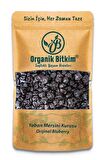 Bluberry (Mavi Yemiş-Yaban Mersini) 1000 gr