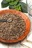 Tane Hayıt Tohumu 250 gr