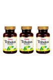 Balen Tribulus Terrestris-Demir Dikeni Ekstraktı 620 mg 60 Kapsül x 3 Adet