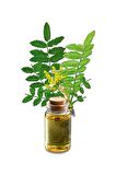 Balen Akgünlük-Sığla Ağacı Yağı (Distilasyon) 20 ml