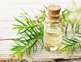 Balen Çay Ağacı Yağı-Hint Defnesi Yağı (Distilasyon) 20 ml 3 Adet