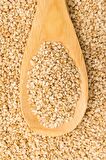Susam 500 gr