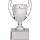 ODAK KUPA - Genel Kupalar - GN-232 A - 21 cm