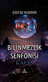 Bilinmezlik Senfonisi - Kaçış