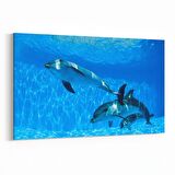 Olla 12932Y Deniz / Okyanus Görseli Yatay Kanvas Tablo (Ölçü: 150X100)