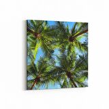 Olla 11489K Palmiye Ağacı Görseli Kare Kanvas Tablo (Ölçü: 30X30)