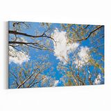 Olla 10526Y Ağaç Görseli Yatay Kanvas Tablo (Ölçü: 120X80)