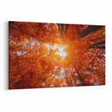 Olla 10509Y Ağaç Görseli Yatay Kanvas Tablo (Ölçü: 90X60)