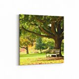 Olla 13431K Doğa / Manzara Görseli Kare Kanvas Tablo (Ölçü: 25X25)