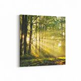 Olla 13268K Doğa / Manzara Görseli Kare Kanvas Tablo (Ölçü: 25X25)