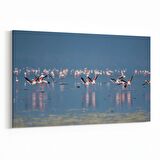 Olla 13427Y Doğa / Manzara Görseli Yatay Kanvas Tablo (Ölçü: 90X60)