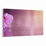 Olla 11724Y Orkide Çiçek Görseli Yatay Kanvas Tablo (Ölçü: 150X100)