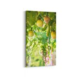 Olla 14962DD Gıda Görseli Dikey Dar Kanvas Tablo (Ölçü: 60X120)