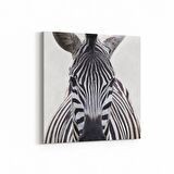 Olla 12512K Hayvanlar Alemi Görseli Kare Kanvas Tablo (Ölçü: 100X100)