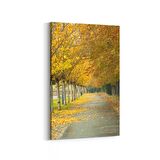 Olla 13525D Doğa / Manzara Görseli Dikey Kanvas Tablo (Ölçü: 60X90)