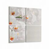 Olla 11704K4 Orkide Çiçek Görseli Kare 4'lü Kanvas Tablo (Ölçü: 65X65)