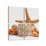 Olla 12950K4 Deniz / Okyanus Görseli Kare 4'lü Kanvas Tablo (Ölçü: 125X125)