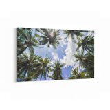 Olla 11511Y Palmiye Ağacı Görseli Yatay Kanvas Tablo (Ölçü: 150X100)