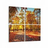 Olla 13740K4 Doğa / Manzara Görseli Kare 4'lü Kanvas Tablo (Ölçü: 145X145)