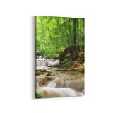 Olla 14550D Doğa / Manzara Görseli Dikey Kanvas Tablo (Ölçü: 70X105)