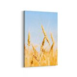 Olla 15291D Gıda Görseli Dikey Kanvas Tablo (Ölçü: 60X90)