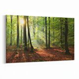 Olla 14355Y Doğa / Manzara Görseli Yatay Kanvas Tablo (Ölçü: 30X20)