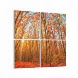 Olla 13239K4 Doğa / Manzara Görseli Kare 4'lü Kanvas Tablo (Ölçü: 125X125)