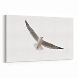 Olla 12639Y Hayvanlar Alemi Görseli Yatay Kanvas Tablo (Ölçü: 90X60)