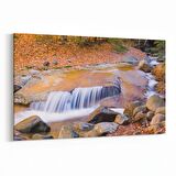 Olla 13722Y Doğa / Manzara Görseli Yatay Kanvas Tablo (Ölçü: 70X50)