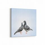 Olla 12521K Hayvanlar Alemi Görseli Kare Kanvas Tablo (Ölçü: 100X100)