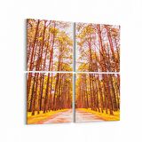 Olla 14101K4 Doğa / Manzara Görseli Kare 4'lü Kanvas Tablo (Ölçü: 65X65)