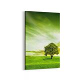Olla 14608D Doğa / Manzara Görseli Dikey Kanvas Tablo (Ölçü: 100X150)