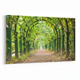 Olla 13281Y Doğa / Manzara Görseli Yatay Kanvas Tablo (Ölçü: 120X80)