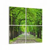 Olla 14389K4 Doğa / Manzara Görseli Kare 4'lü Kanvas Tablo (Ölçü: 125X125)