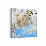 Olla 10612K Ağaç Görseli Kare Kanvas Tablo (Ölçü: 30X30)